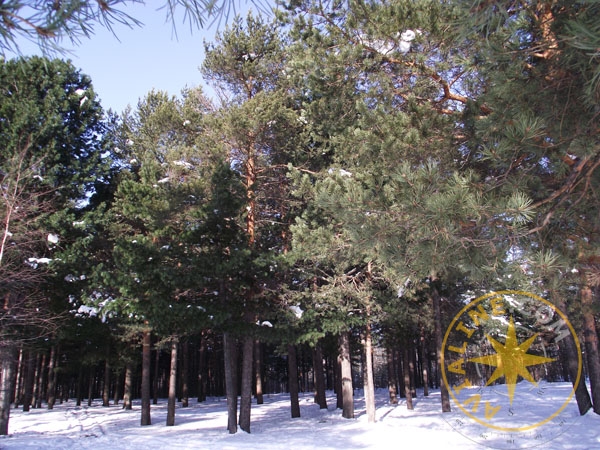 Парк «За Саймой» в городе Сургуте