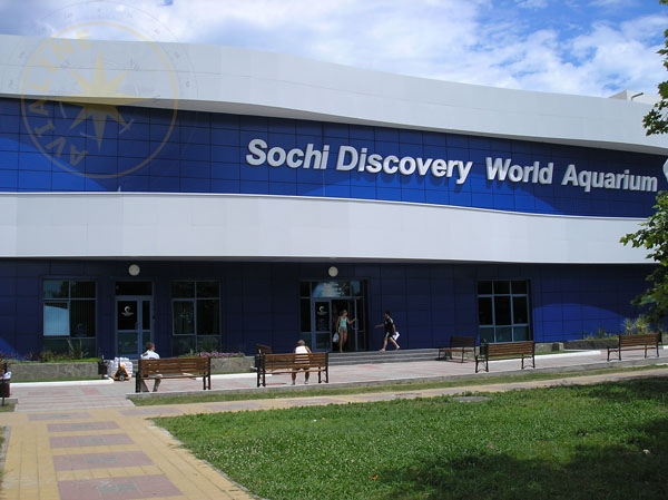 Сочинский океанариум - Sochi Discovery World Aquarium