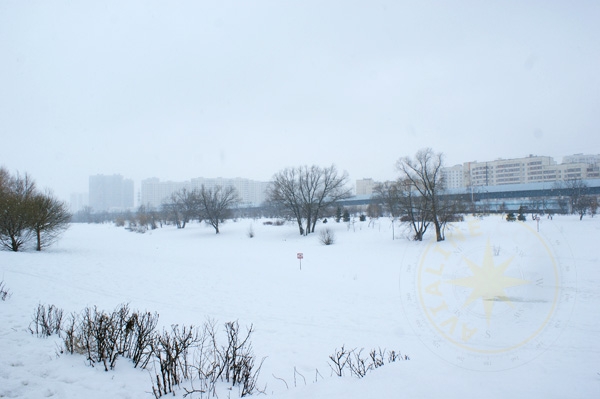 Черневские пруды зимой - парковая зона